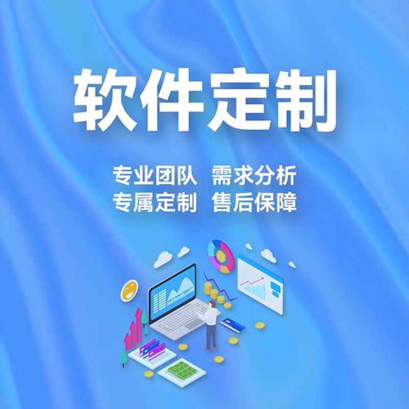 ERP系统定制在企业的数字化转型中扮演了什么角色？